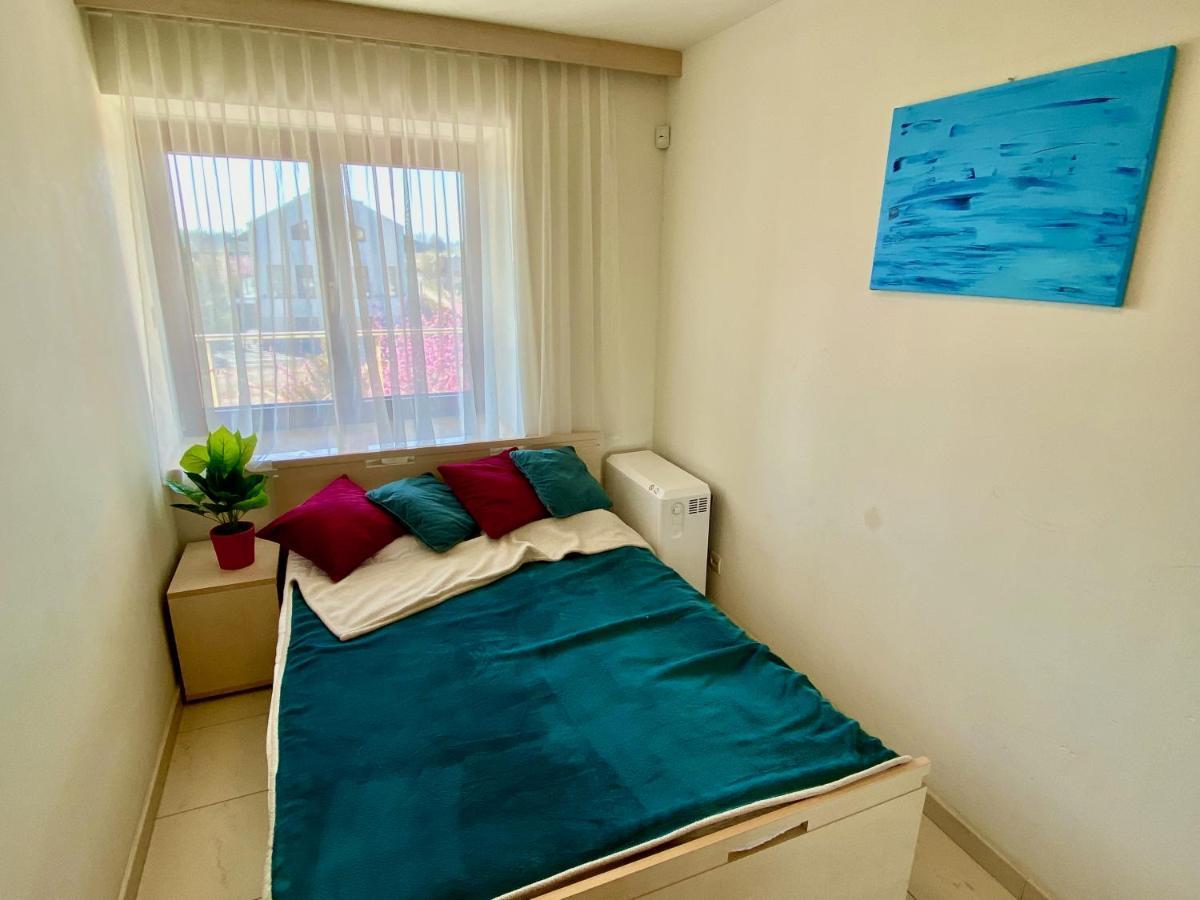 Apartement Poludniowy 사르비노보 외부 사진