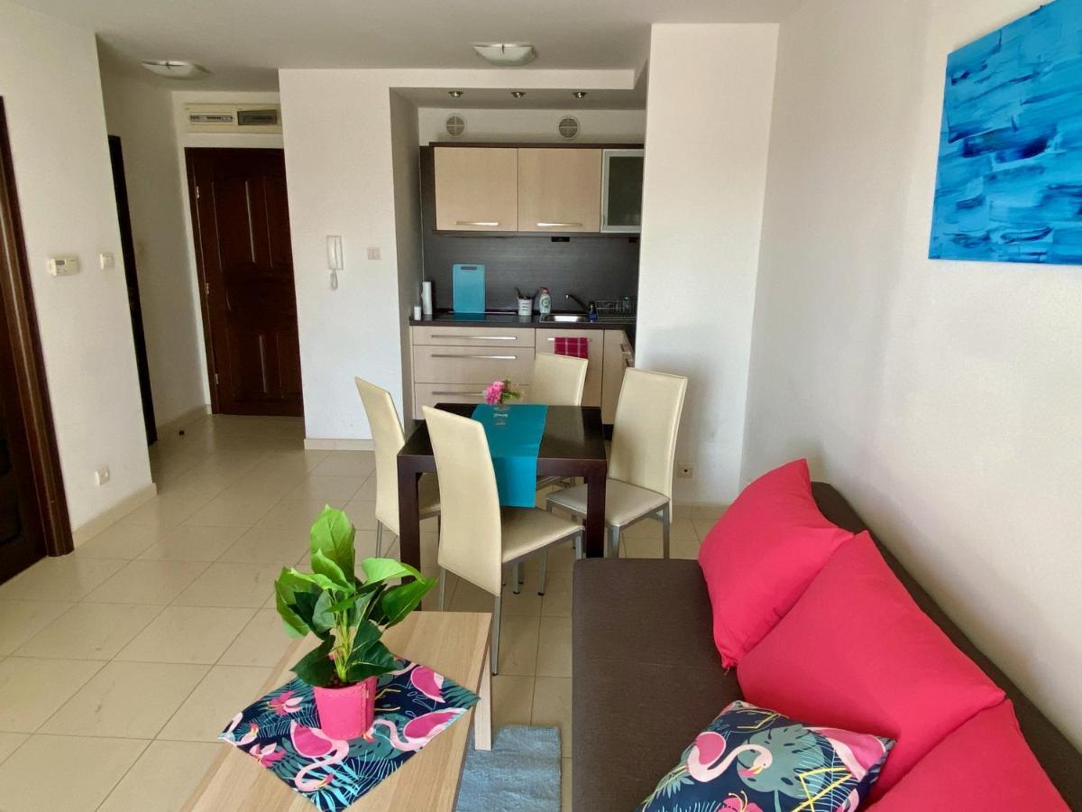 Apartement Poludniowy 사르비노보 외부 사진