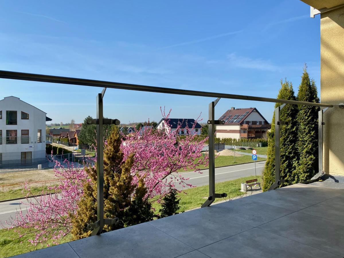 Apartement Poludniowy 사르비노보 외부 사진